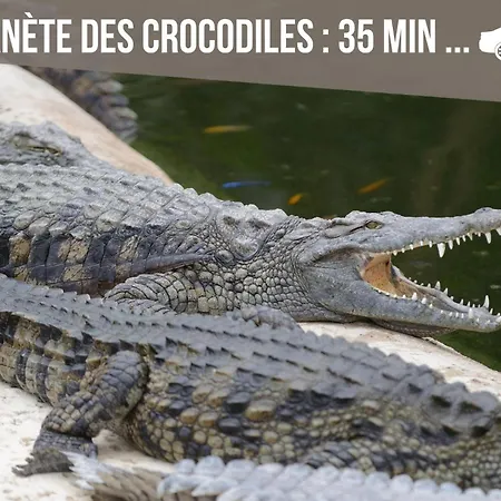 Grand 4 En Face Du Chu Et De L'universite De - Acces Rapide Futuroscope En 15 Min פואטייה