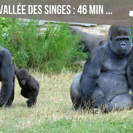 Ubytování v soukromí Grand 4 En Face Du Chu Et De L'universite De - Acces Rapide Futuroscope En 15 Min Poitiers