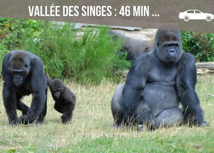 Accommodatie bij particulieren Grand 4 En Face Du Chu Et De L'universite De - Acces Rapide Futuroscope En 15 Min Poitiers